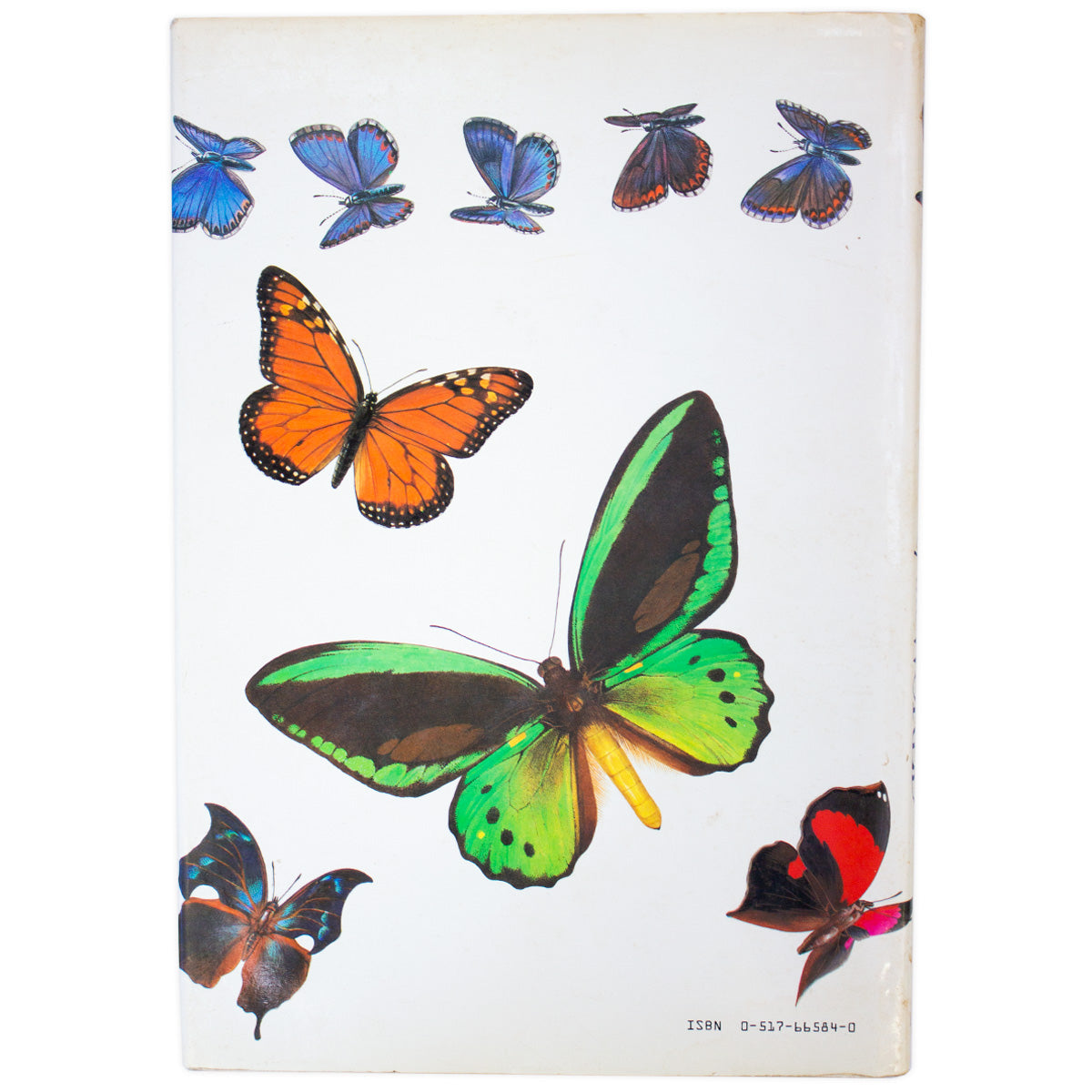 Book; Butterflies of the World