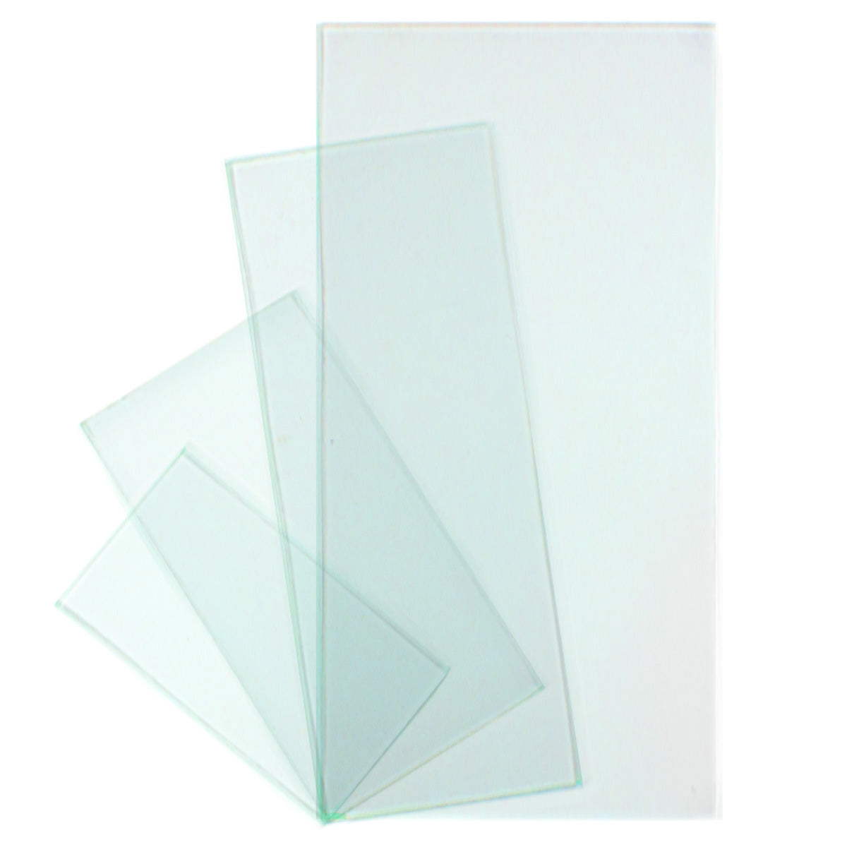 Glass Butterfly Wing Slides (6pc set)