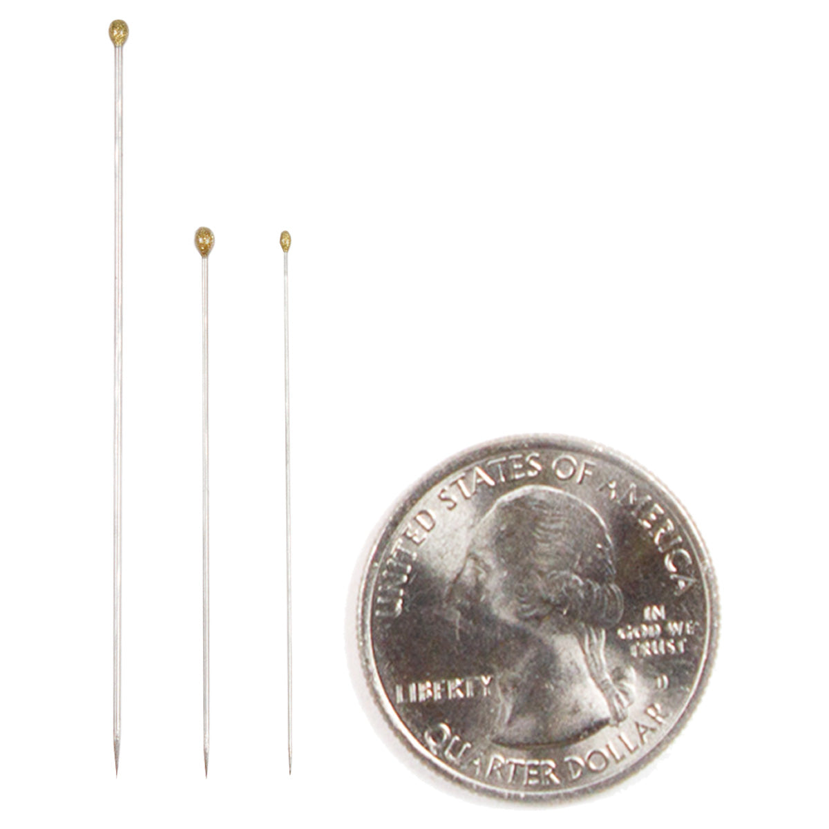 Stainless Steel Insect Pins (100 pack)
