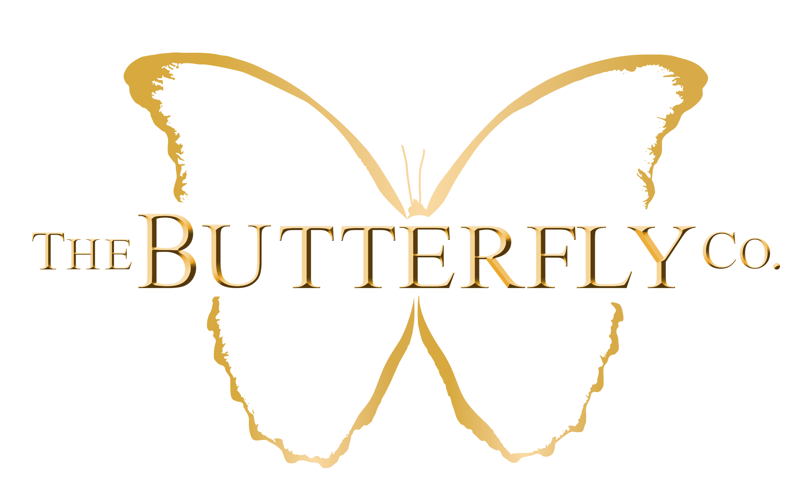 Buy Butterfly Frames Png Online In India -  India